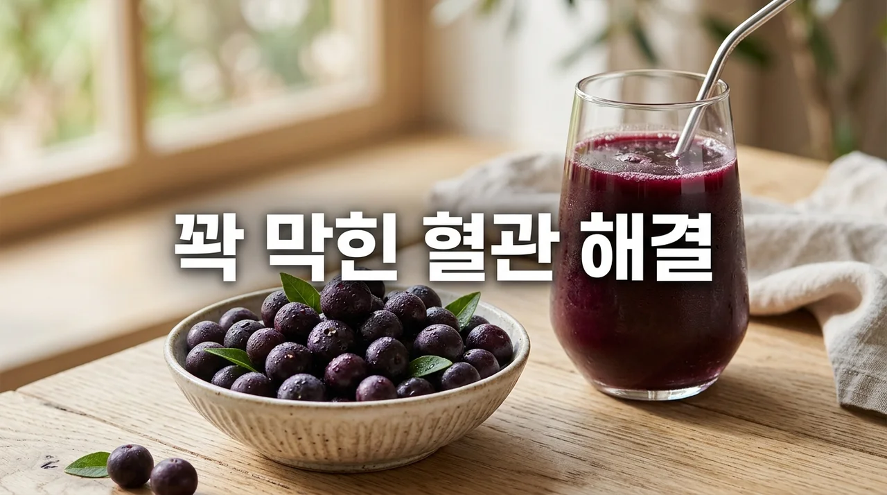 꽉 막힌 혈관 뻥 뚫어주는 아사이베리 속 식물성 오메가 효능