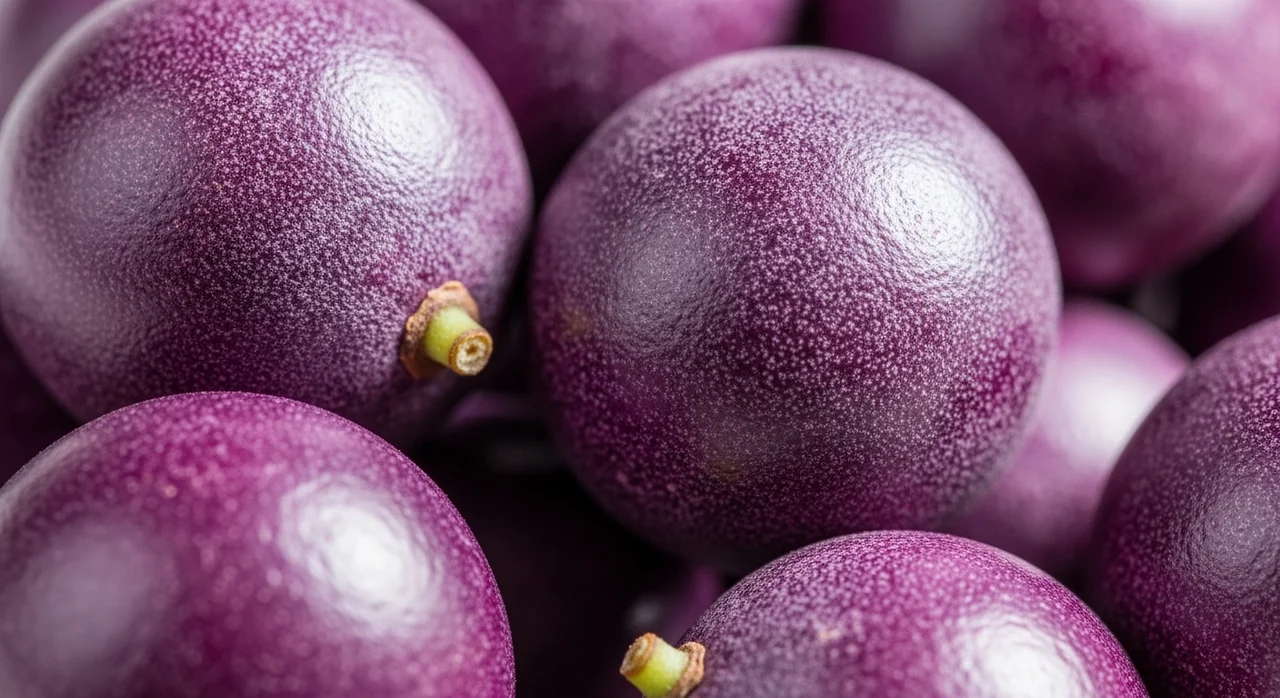 꽉 막힌 혈관 뻥 뚫어주는 아사이베리 속 '식물성 오메가'의 힘이란?