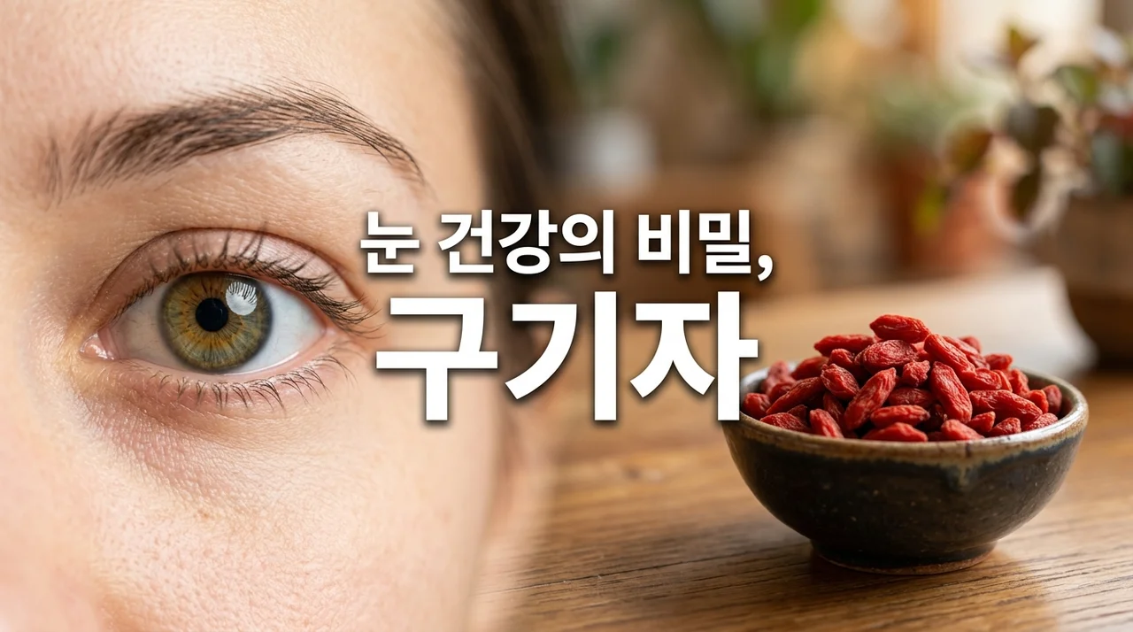 뻑뻑하고 건조한 눈 구기자 챙겨 먹고 황반변성까지 예방하는 비결