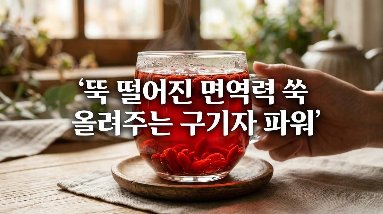 뚝 떨어진 면역력 쑥 올려주는 구기자 파워 효능과 섭취 가이드