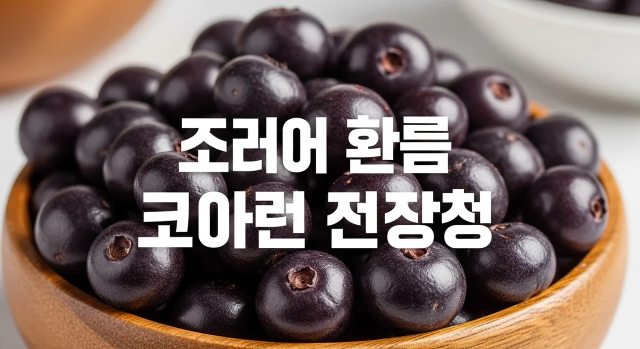 아사이베리로 찌꺼기 없는 맑은 피 만들기: 혈관 건강 관리 비법