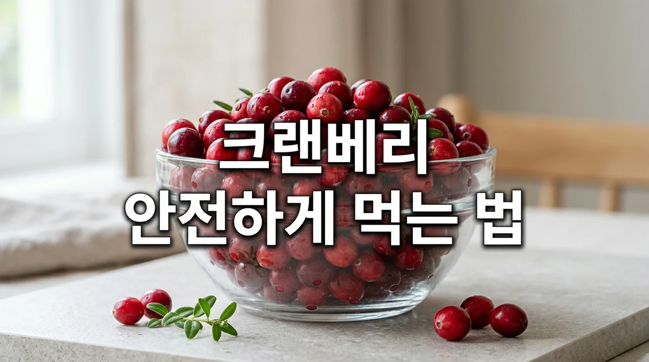 크랜베리 위장 상하지 않게 안전하게 먹는 법 및 섭취 가이드