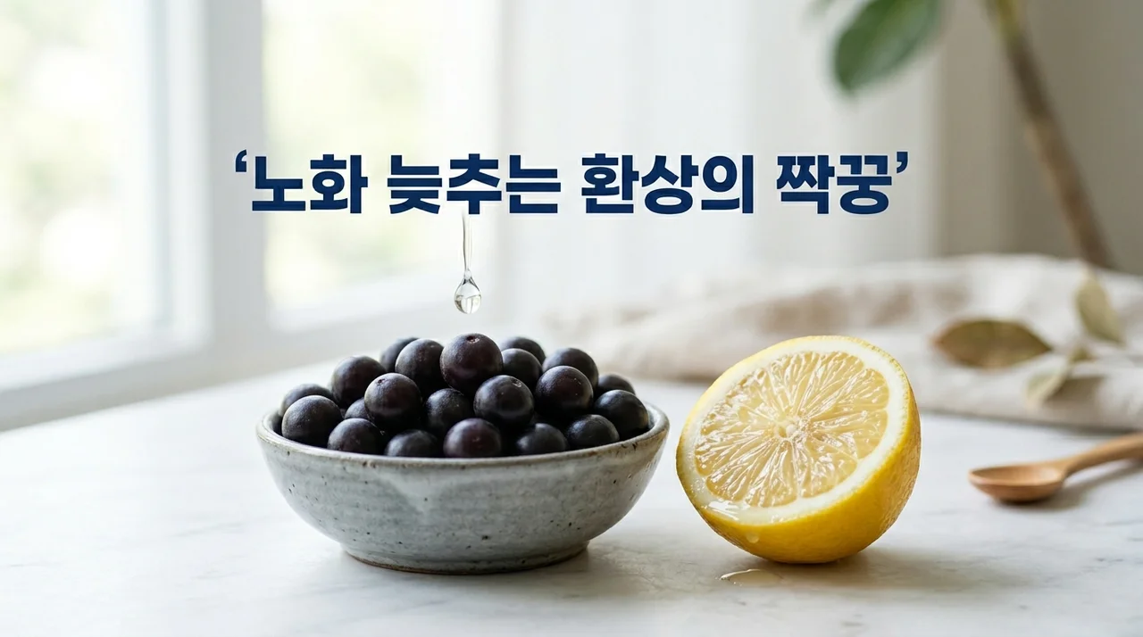 아사이베리에 레몬 한 방울 톡! 노화 늦추는 환상의 짝꿍 과일 조합