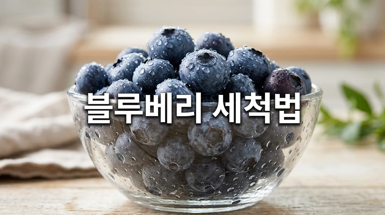 물러지지 않게 블루베리 뽀득뽀득 씻는 비결 및 올바른 보관법