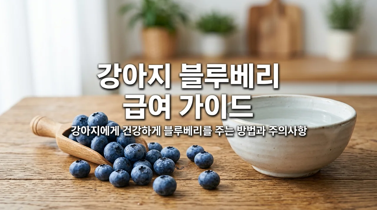 강아지 블루베리 줘도 될까? 안전하게 먹이는 양과 주의사항