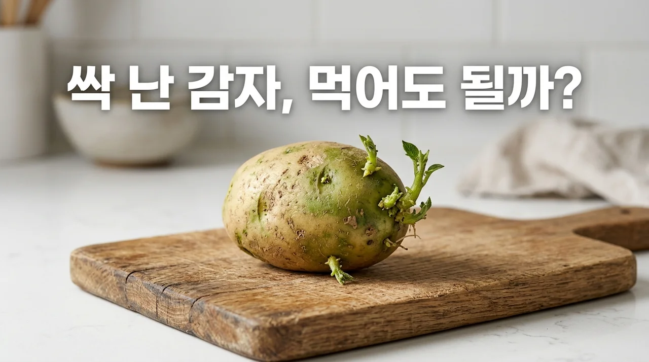 싹 난 감자와 녹색 감자 도려내고 먹어도 안전할까? 독성 제거의 진실