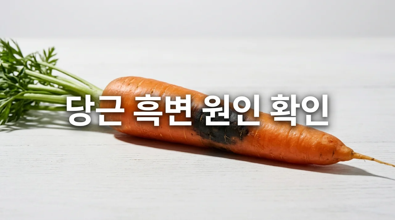 당근 표면이 검게 변하는 흑변 현상 원인과 섭취 가능 여부 확인
