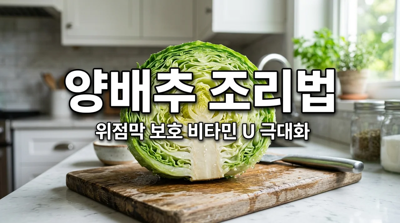 양배추 비타민 U 조리법, 위점막 보호 성분 극대화하는 과학적 기전