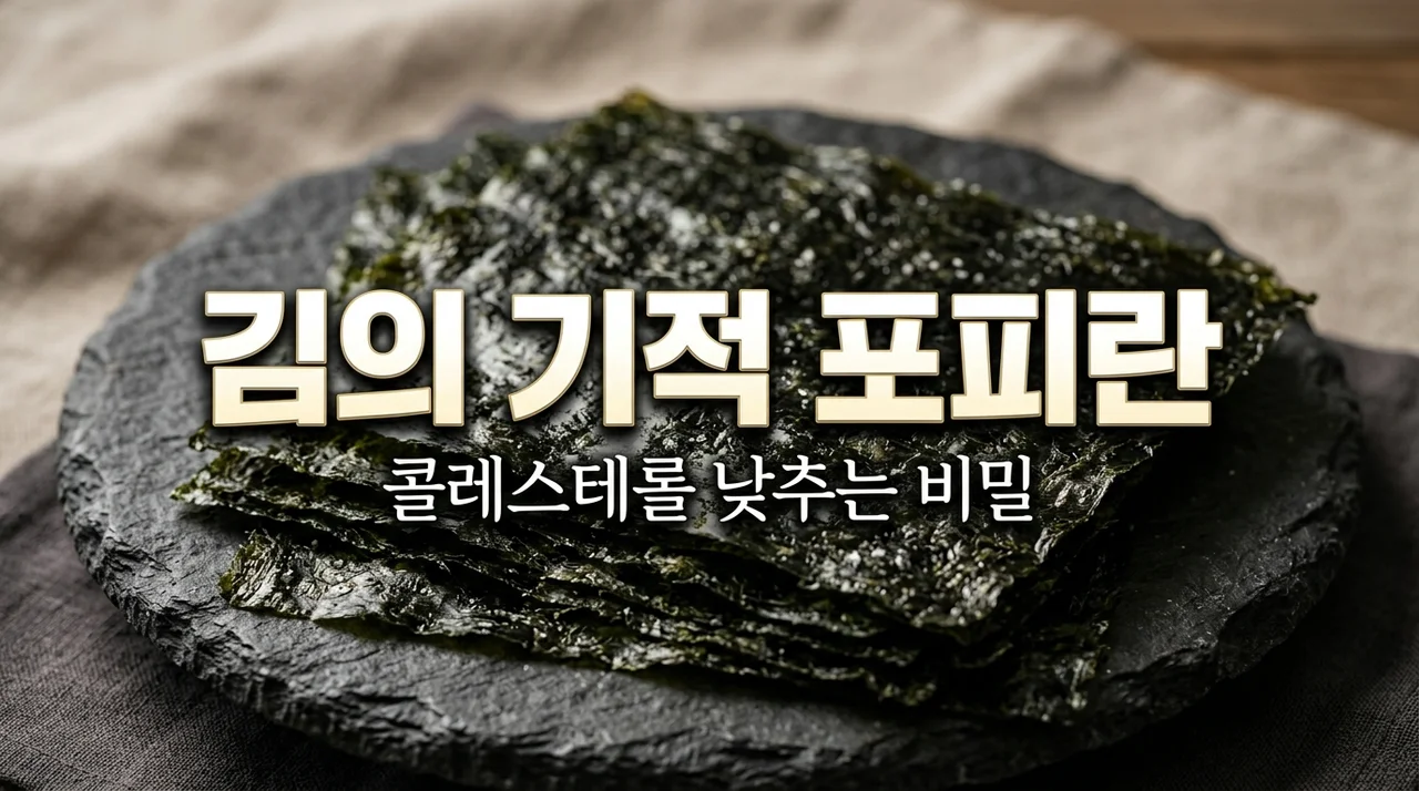 포피란 콜레스테롤 저하 효과, 김 수용성 식이섬유의 놀라운 과학적 근거