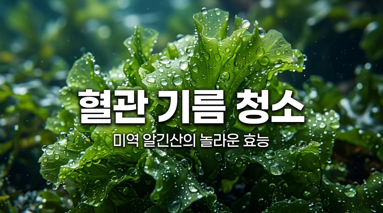 미역 알긴산 효능, 혈관 속 기름기 쏙 빼주는 지질 흡착 배출 원리 완벽 정리