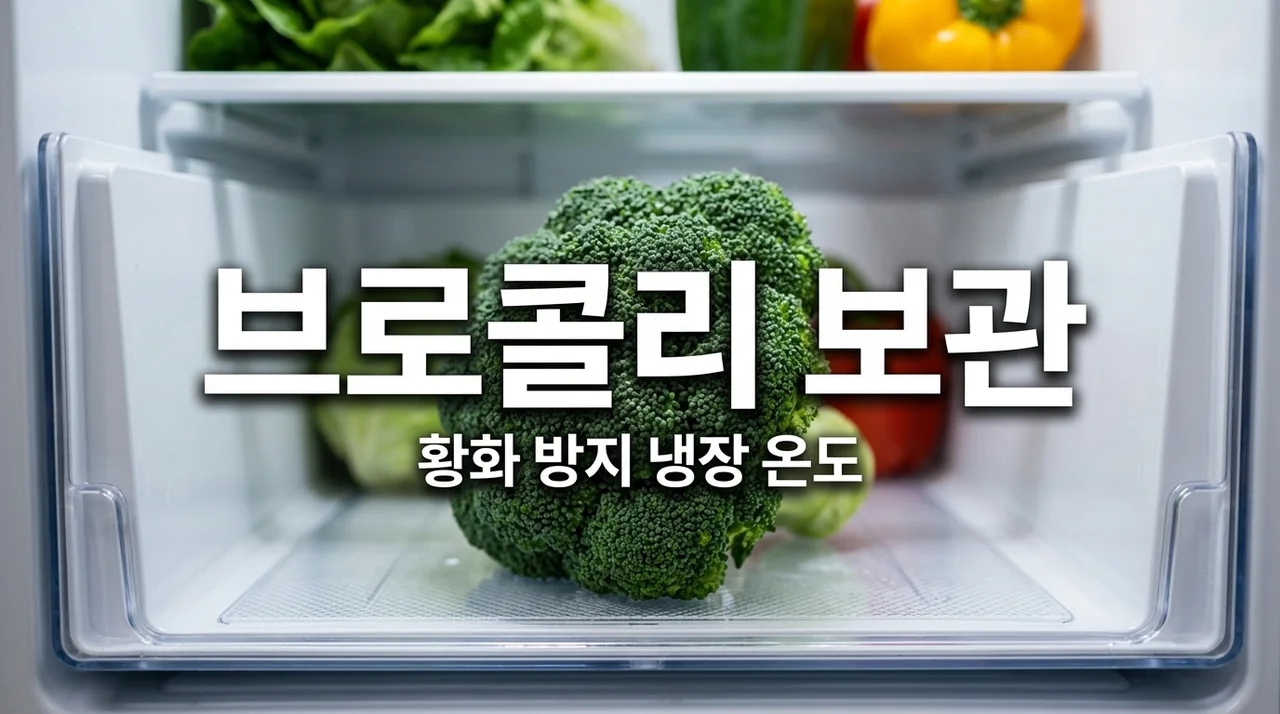 브로콜리 황화 방지법! 밀폐 냉장 온도와 싱싱하게 보관하는 꿀팁