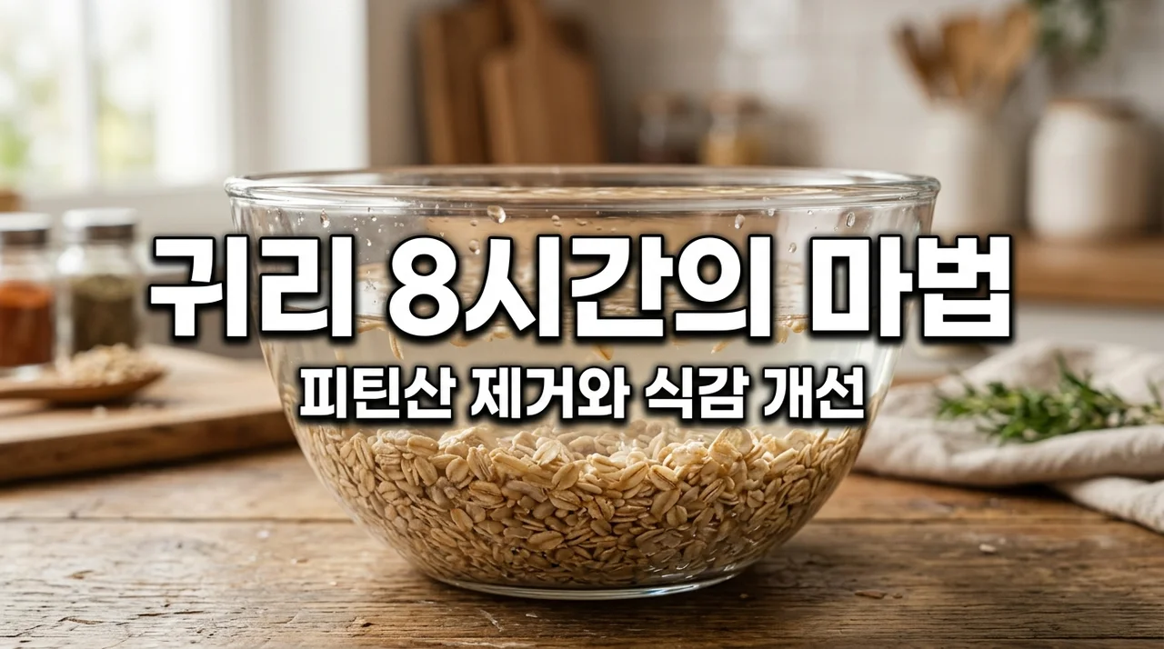 귀리 불리는 시간 8시간의 비밀? 피틴산 분해와 식감 개선 완벽 가이드