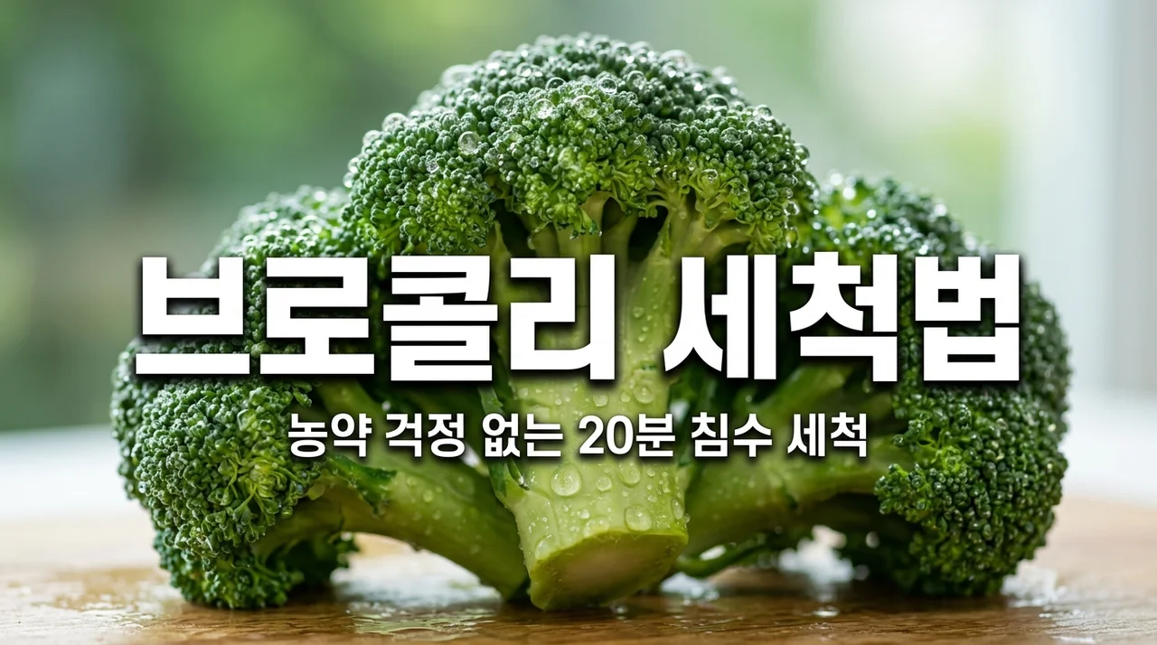 브로콜리 세척법, 화뢰 속 농약 완벽 제거하는 침수 세척 기준
