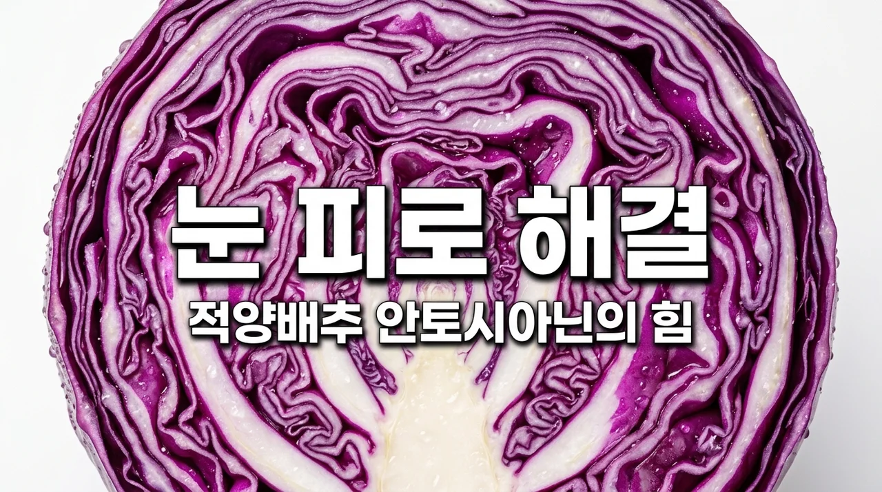 적양배추 안토시아닌 안구 피로 회복 효과와 섭취 가이드