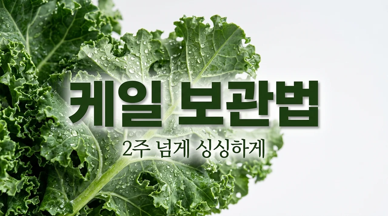 케일 보관법 수분 증발 차단하는 물오름 침지 냉장 보관 꿀팁