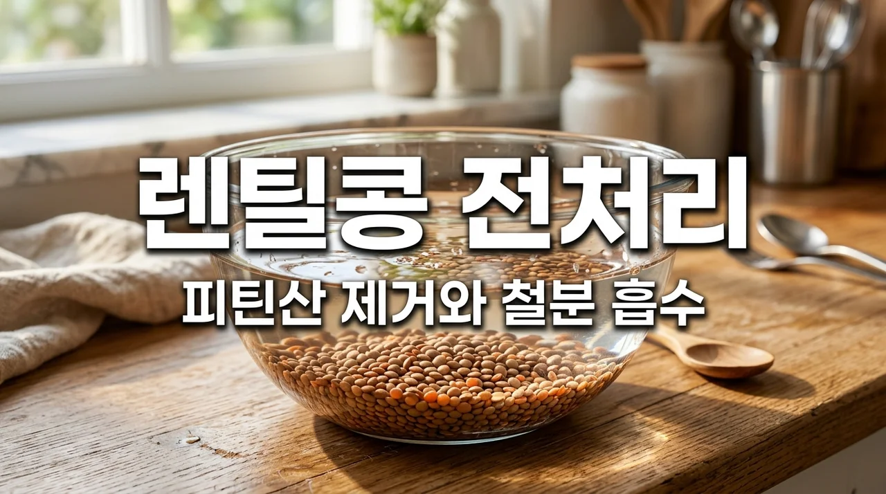 렌틸콩 피틴산 제거 방법! 철분 흡수율 높이는 전처리 완벽 가이드