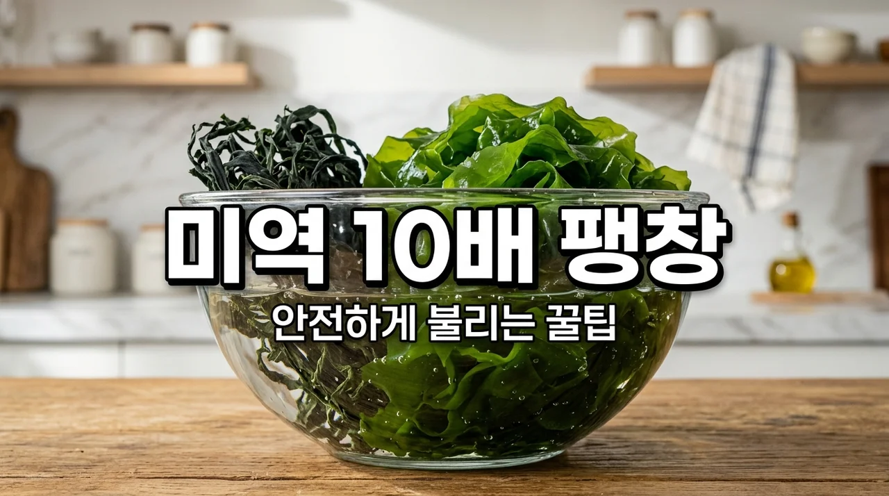 건미역 불리는 시간과 10배 팽창률 기준 안전한 침수 가이드
