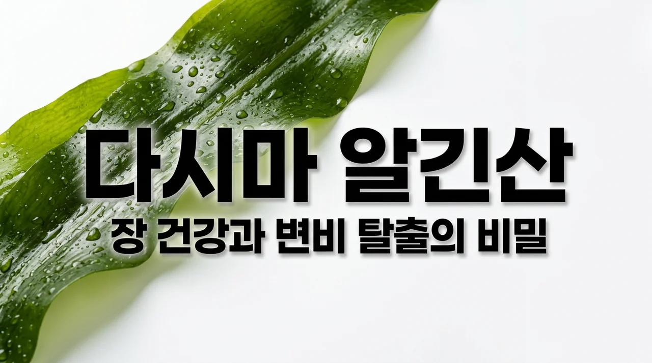 다시마 알긴산 변비 개선 효과와 장 연동 운동 촉진 수치 총정리