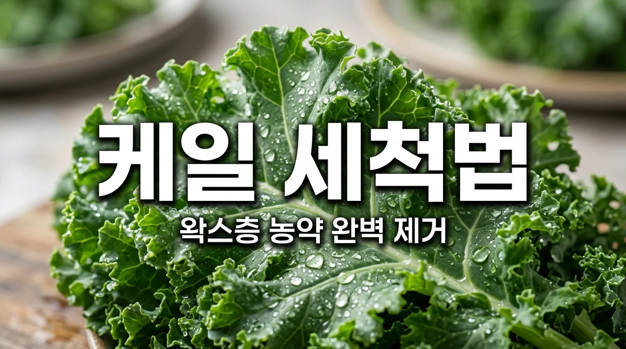 케일 세척법 왁스층 농약 잔류물 완벽 분리하는 식초 세척 가이드
