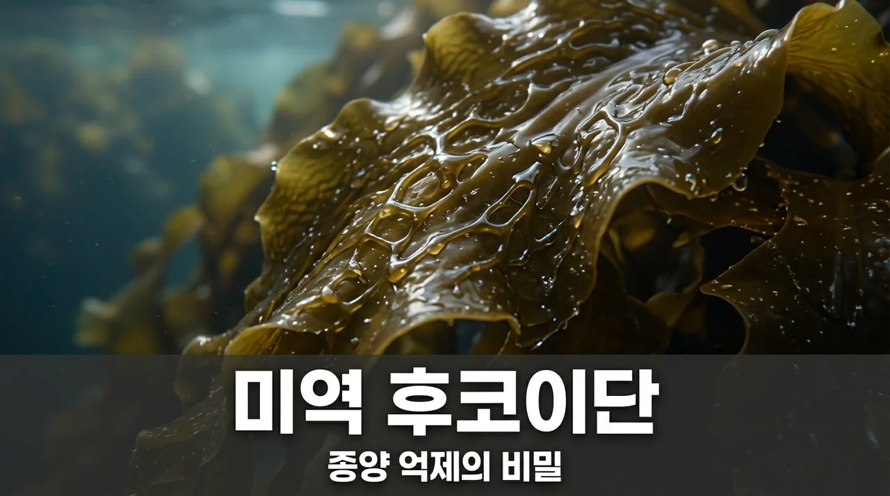 미역 후코이단 효능, 끈적이는 점질물의 종양 세포 억제 원리 총정리