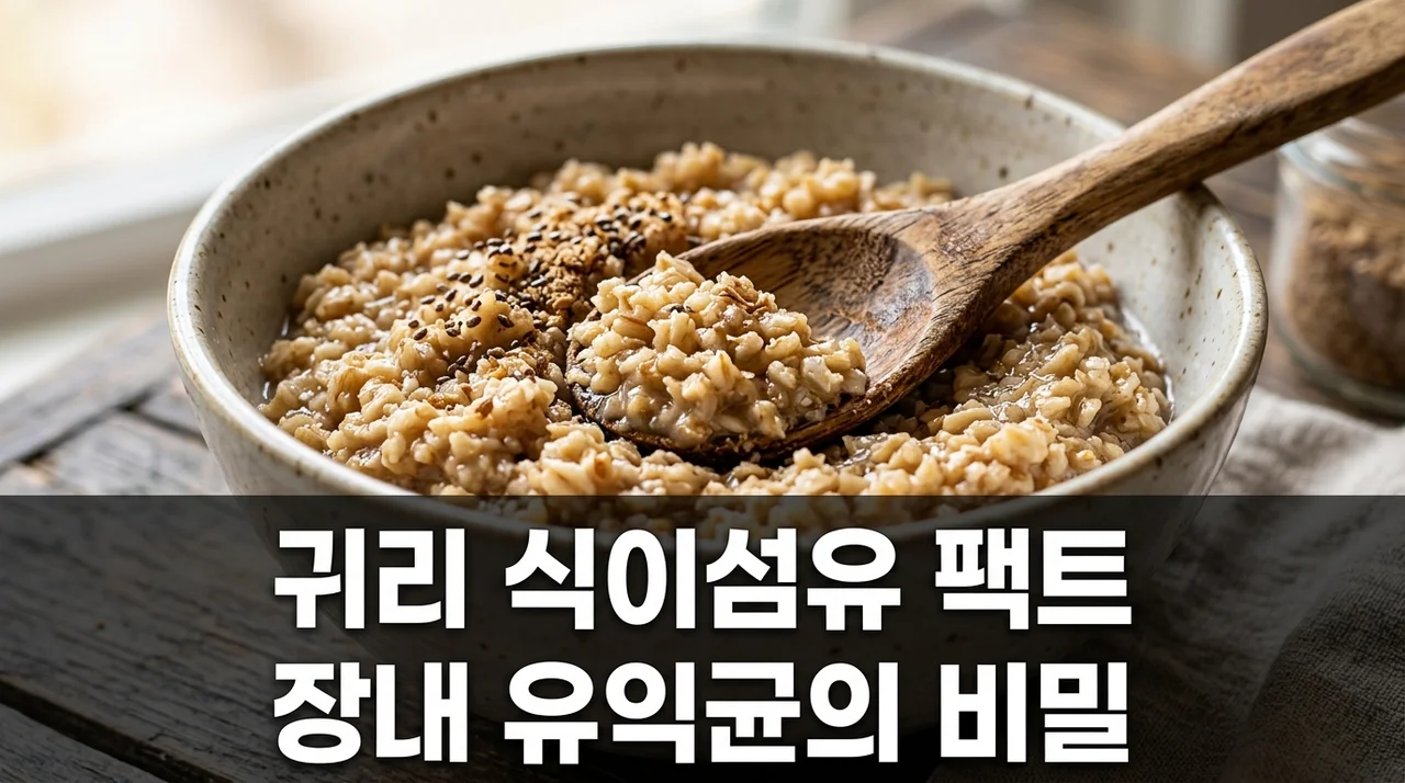 귀리 식이섬유 효능, 장내 미생물 발효와 유익균 증식의 과학적 팩트