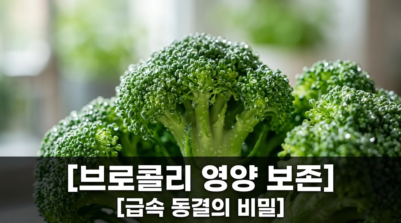 열수 처리 브로콜리 영양 손실 99% 막는 급속 동결 보관법