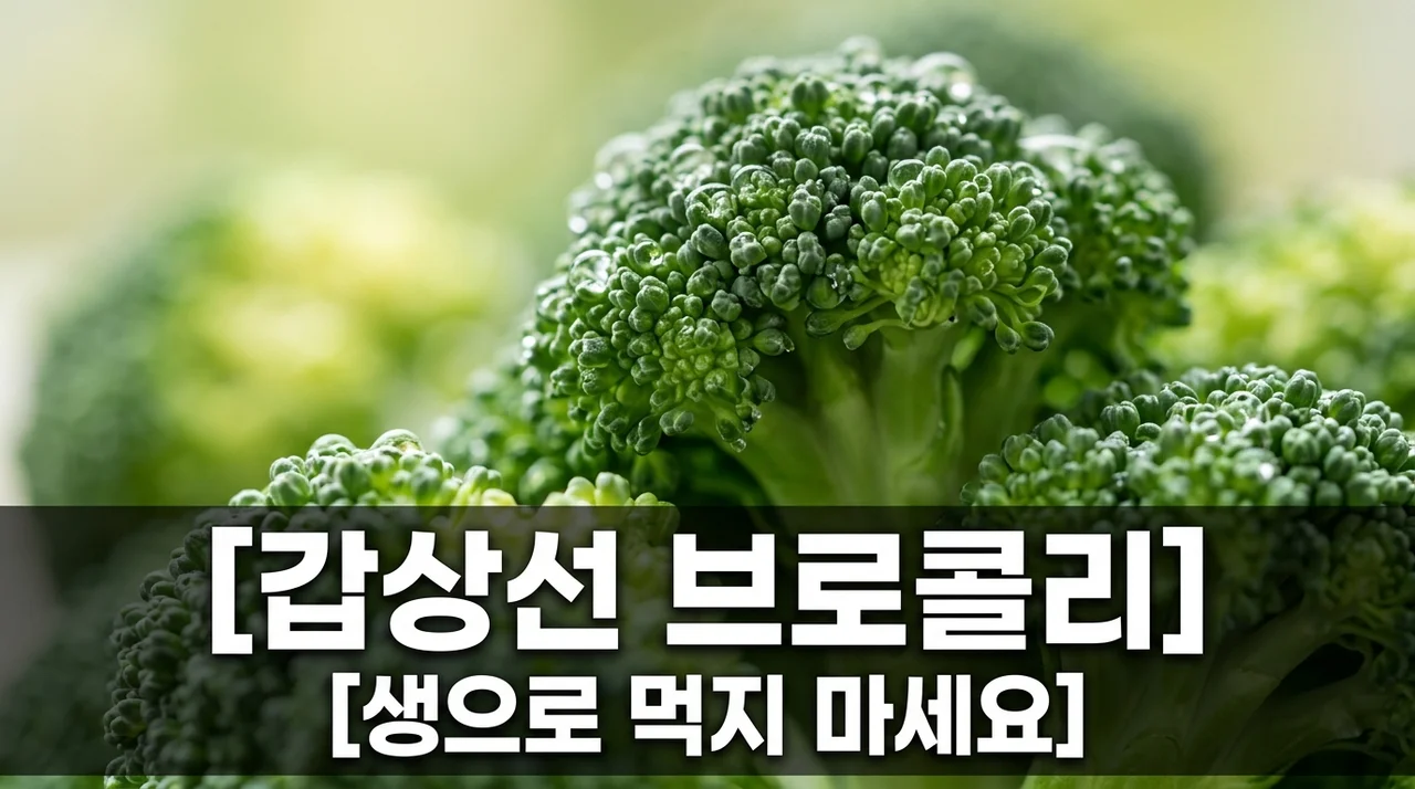 갑상선 브로콜리 생으로 먹으면 위험? 고이트로겐 주의점 및 섭취법