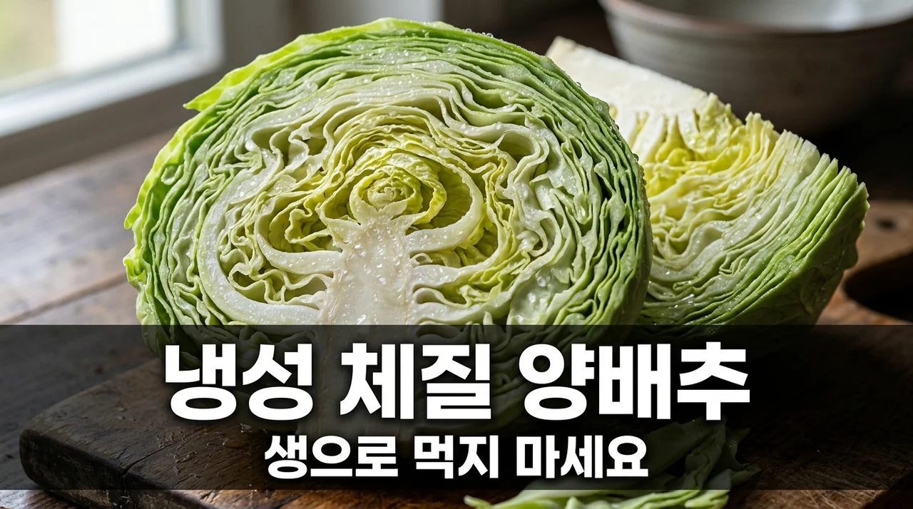 냉성 체질 생양배추 위장관 혈류 저하의 진실? 소화 안 될 때 필독