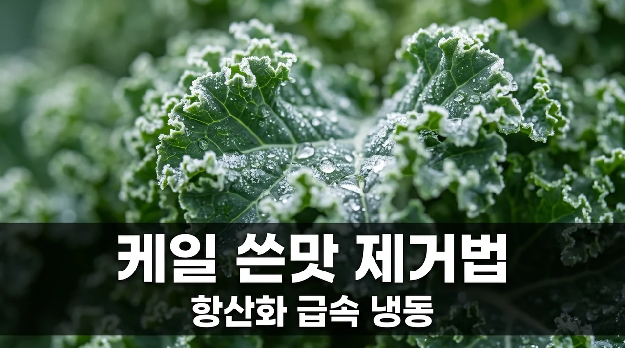 케일 쓴맛 제거 비결, 티오시아네이트 억제하고 항산화 높이는 냉동법
