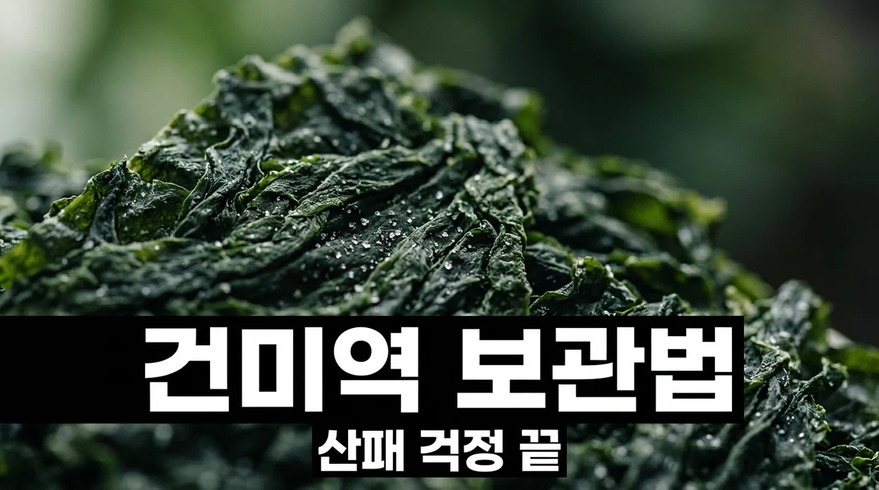 건미역 보관법 수분 접촉 산패 차단 지퍼백 진공 보관 노하우