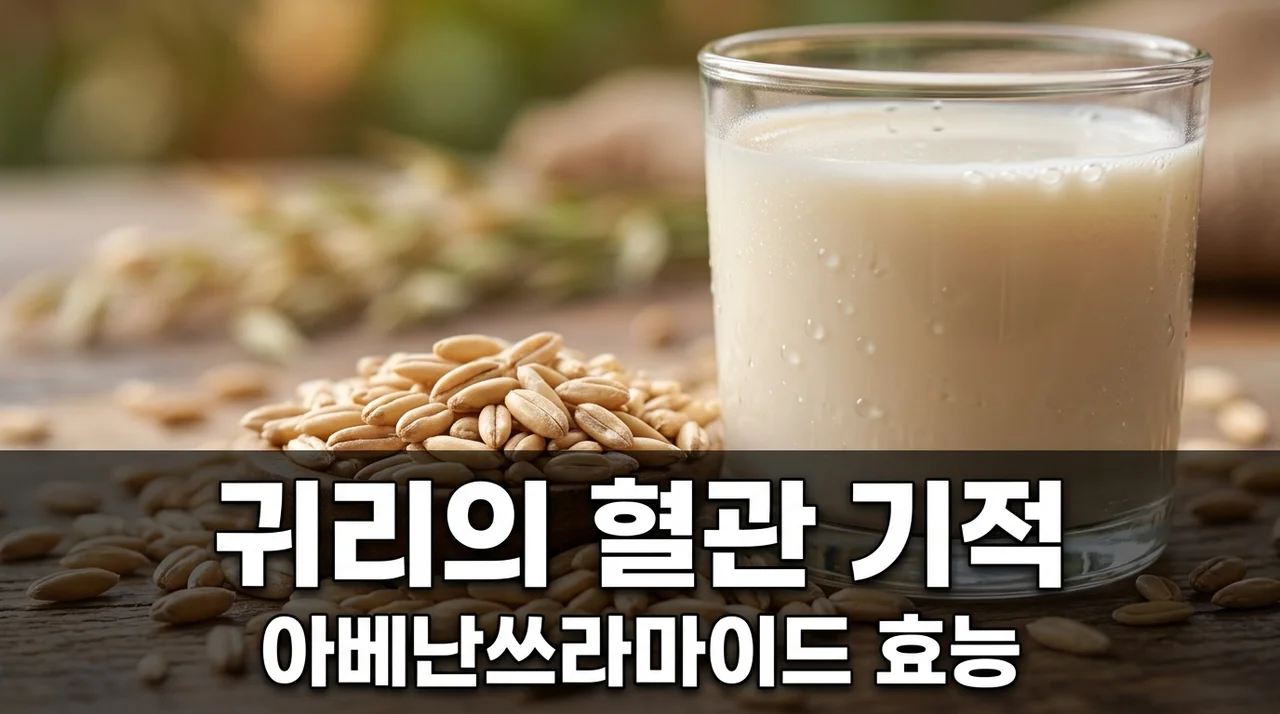 귀리 아베난쓰라마이드 혈관 내피 염증 억제 기전과 효과적인 섭취법