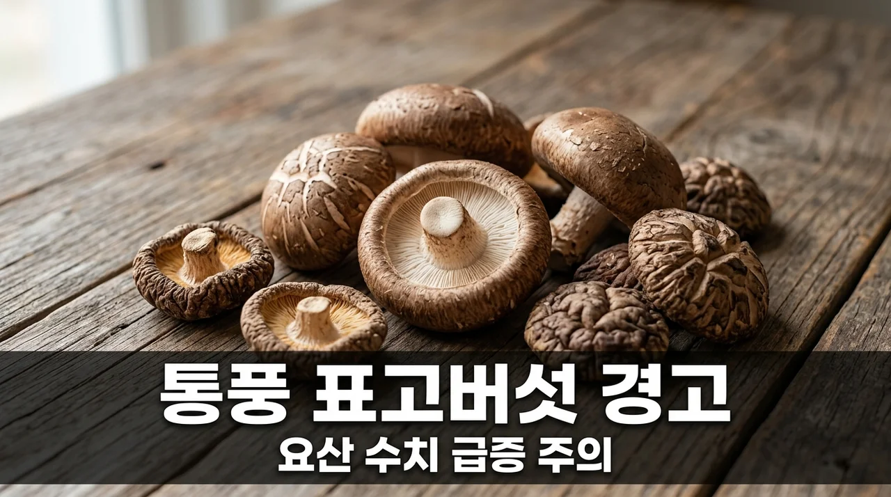 통풍 환자 표고버섯 주의! 퓨린 함량과 요산 수치 급증 경고
