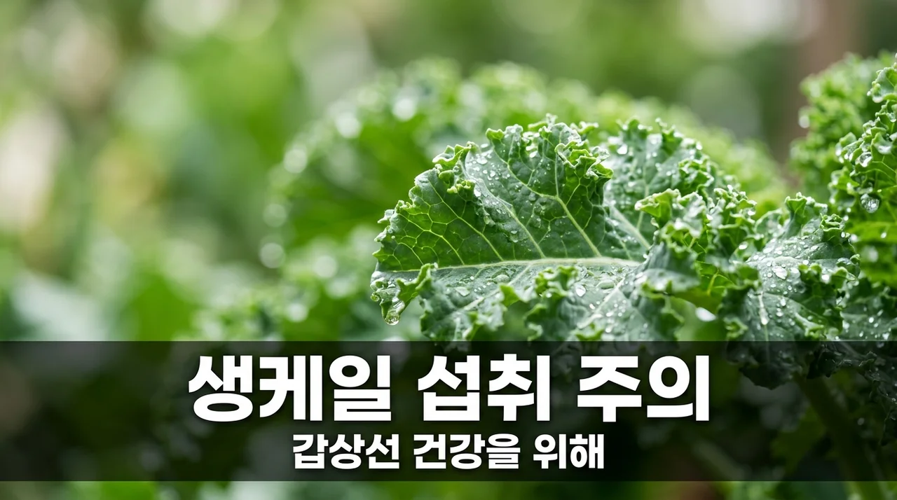 생케일 갑상선 요오드 흡수 방해 기전, 다량 섭취 시 주의사항 3가지