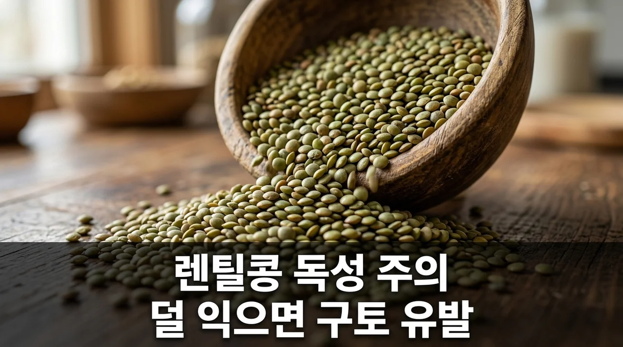 렌틸콩 독성 구토 유발? 덜 익은 렉틴 제거하는 안전한 조리법