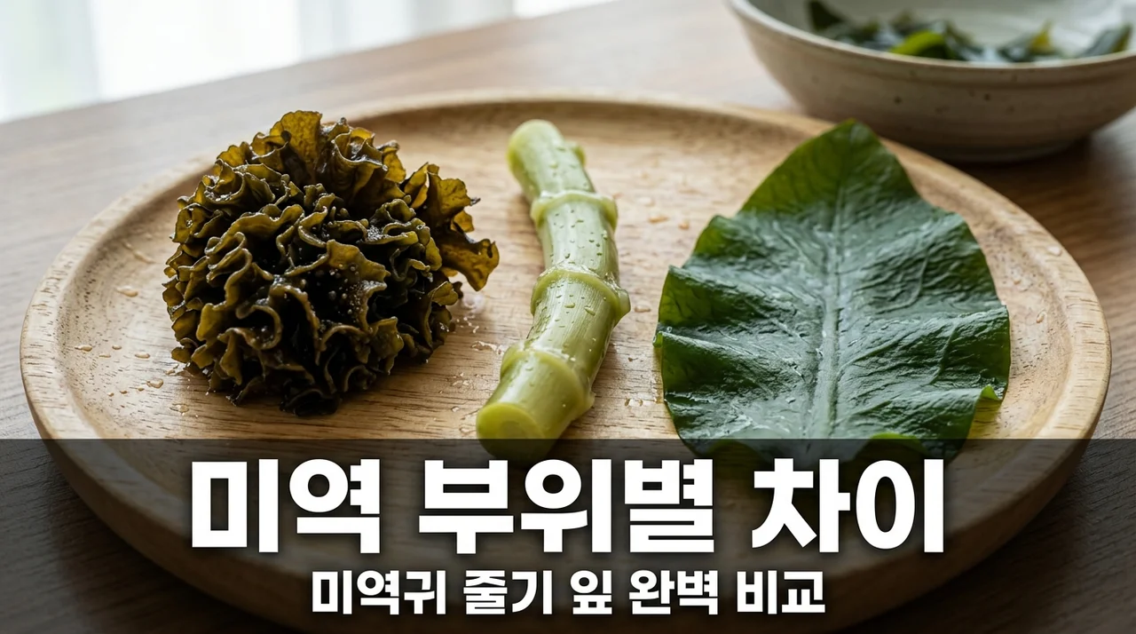 미역귀 미역줄기 미역잎 차이 비교! 식이섬유 함량과 조리법 가이드