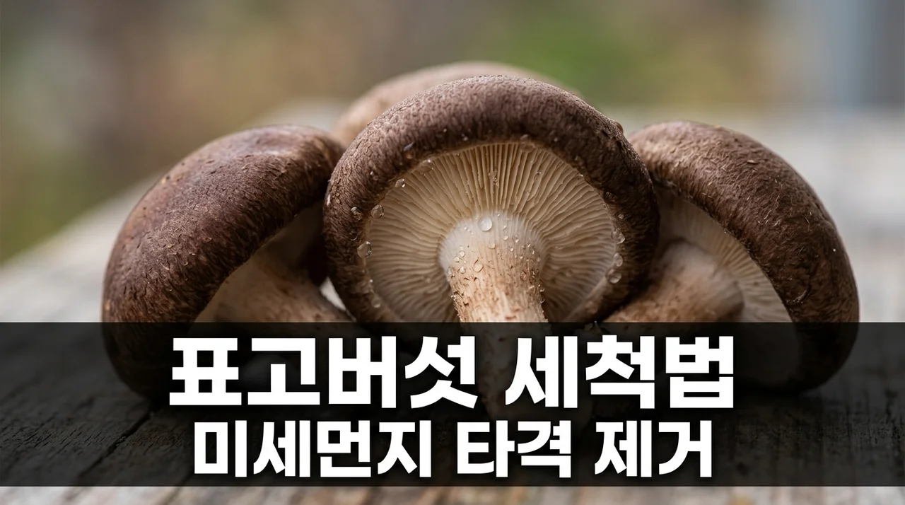 표고버섯 갓 주름 미세먼지 완벽 제거! 영양 손실 없는 타격 세척법
