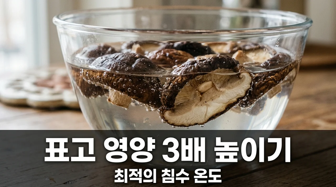 베타글루칸 용출 높이는 건표고버섯 침수 온도와 황금 시간 가이드