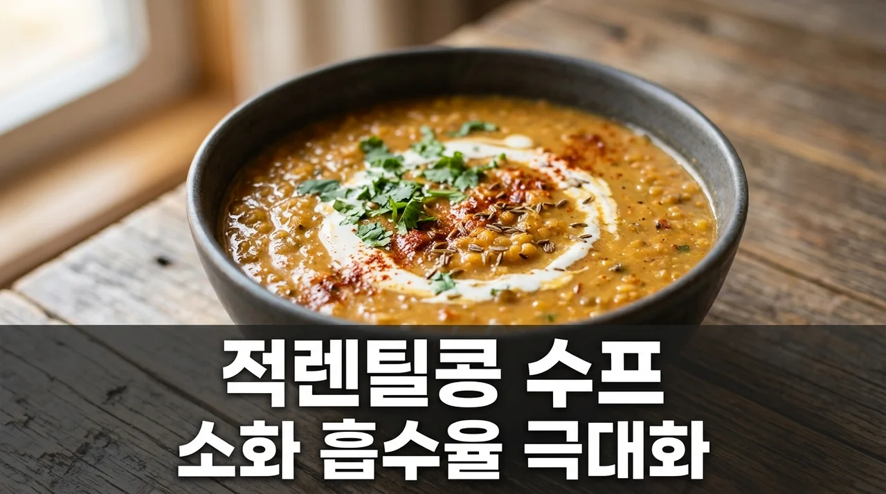 적렌틸콩 수프 입자 블렌딩 조리로 소화 흡수율 극대화하기