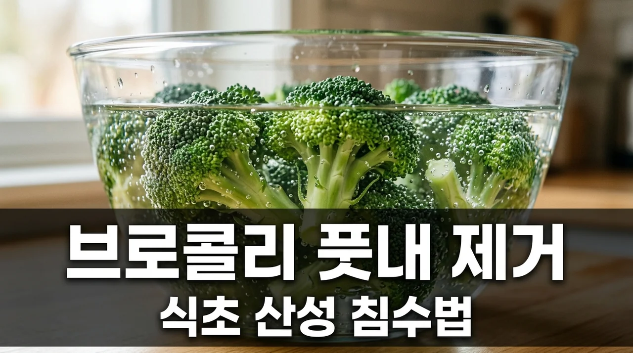 브로콜리 풋내 제거 식초 산성 침수 전처리로 아삭하게 즐기는 법