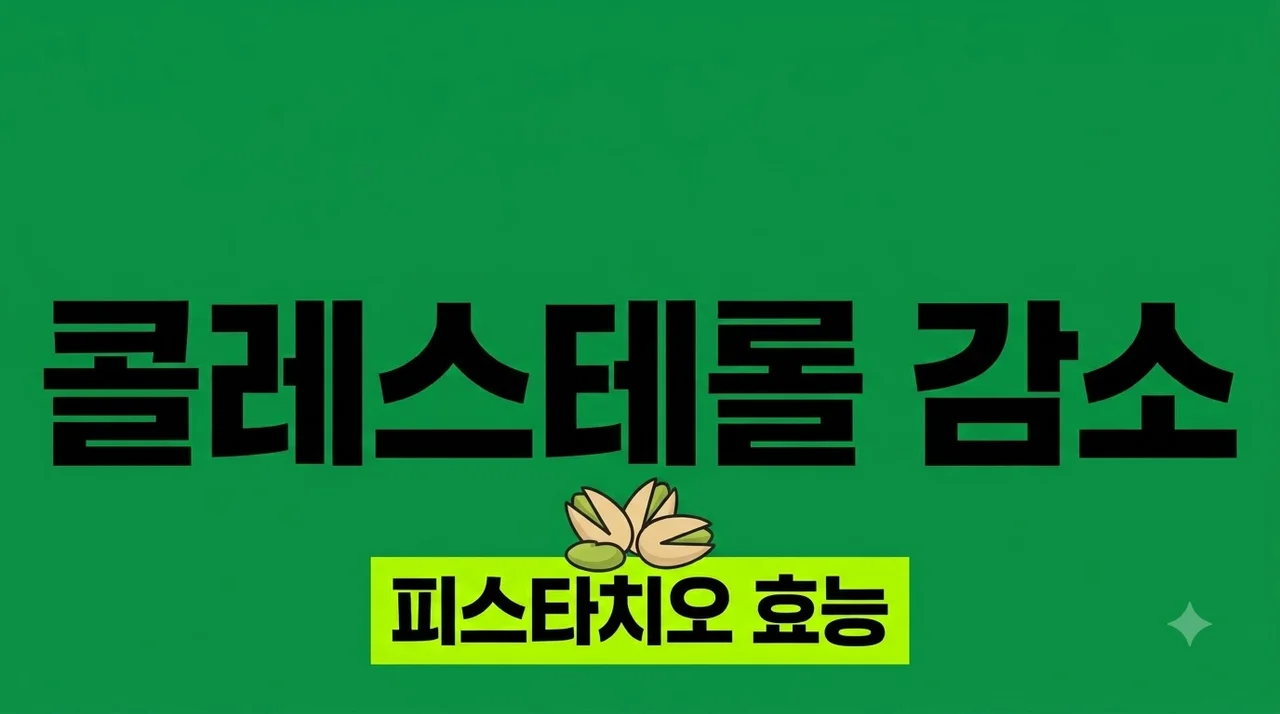 피스타치오 효능, 콜레스테롤 수치 낮추고 혈관 건강 지키는 이유