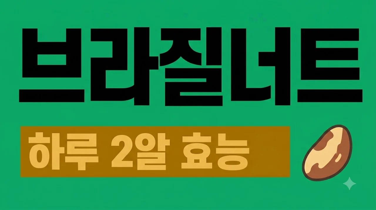 브라질너트 효능 하루 2알이면 충분한 이유와 과다복용 부작용 완벽 정리