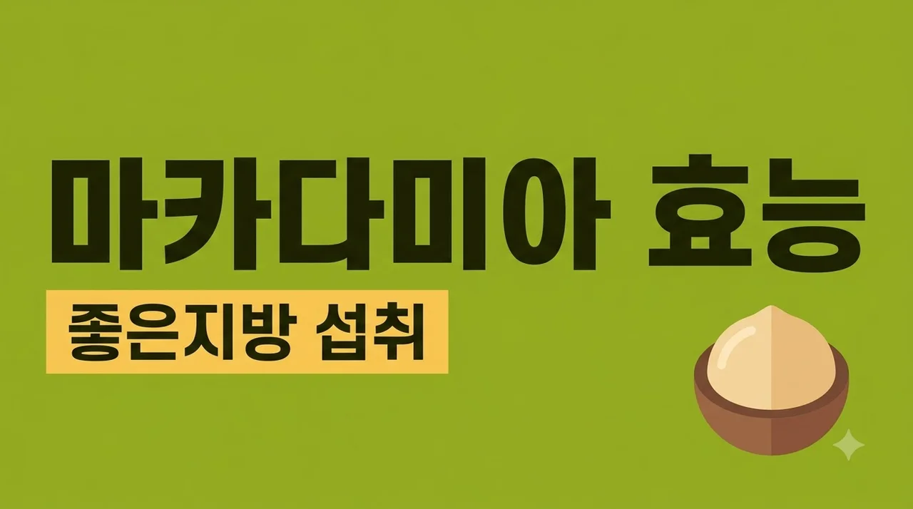 마카다미아 효능 알고 먹자! 좋은 지방을 섭취하는 방법 4가지