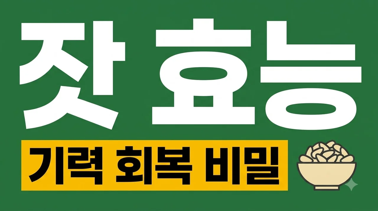 잣 효능 기력 회복에 진짜 도움 될까? 효과부터 섭취법까지 정리