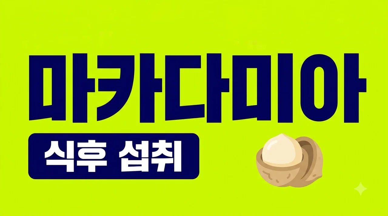 마카다미아 먹는 시간 식후가 좋을까? 하루 권장량과 최적의 섭취법
