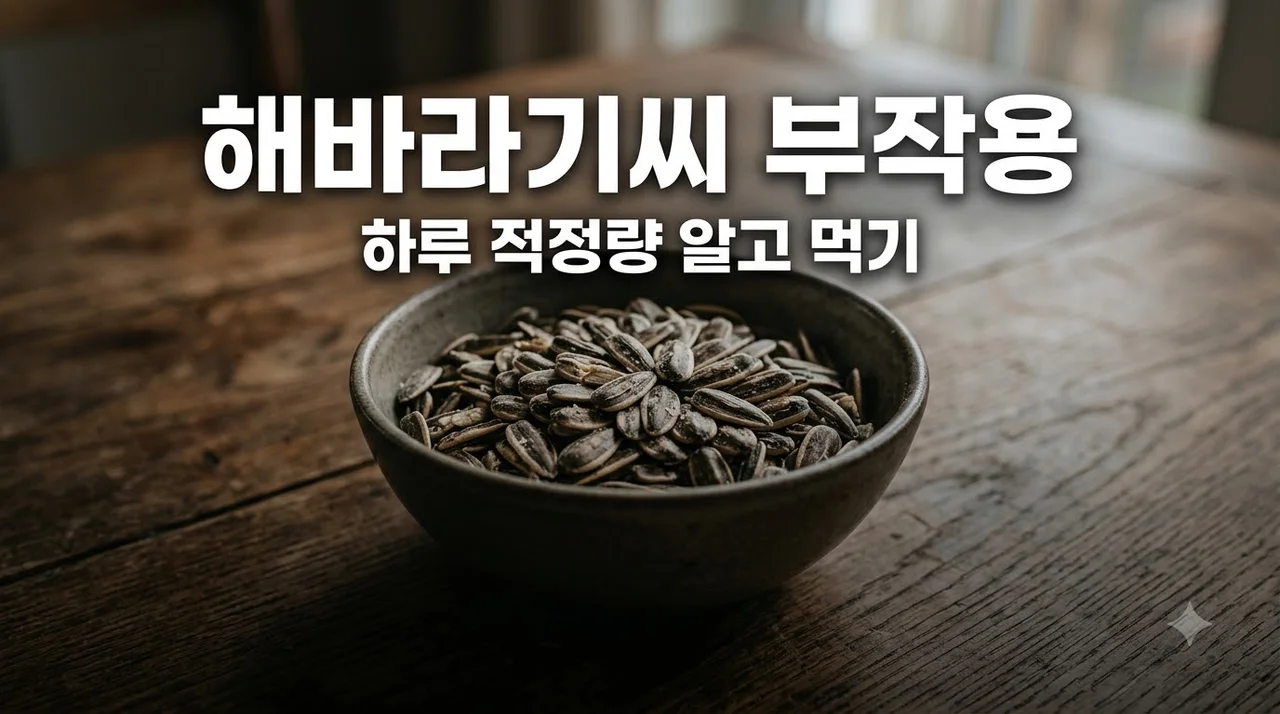 해바라기씨 부작용과 하루 적정량! 살 안찌고 안전하게 먹는 꿀팁