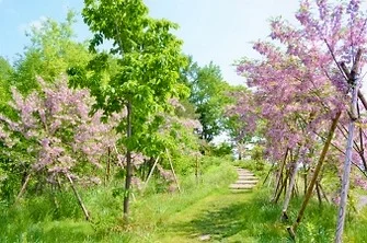 [힐튼 특급호텔+팁포함] 북해도 4일[온천 2박/3대 게뷔페+주류 무제한/야식소바] DAY 1 여행 사진