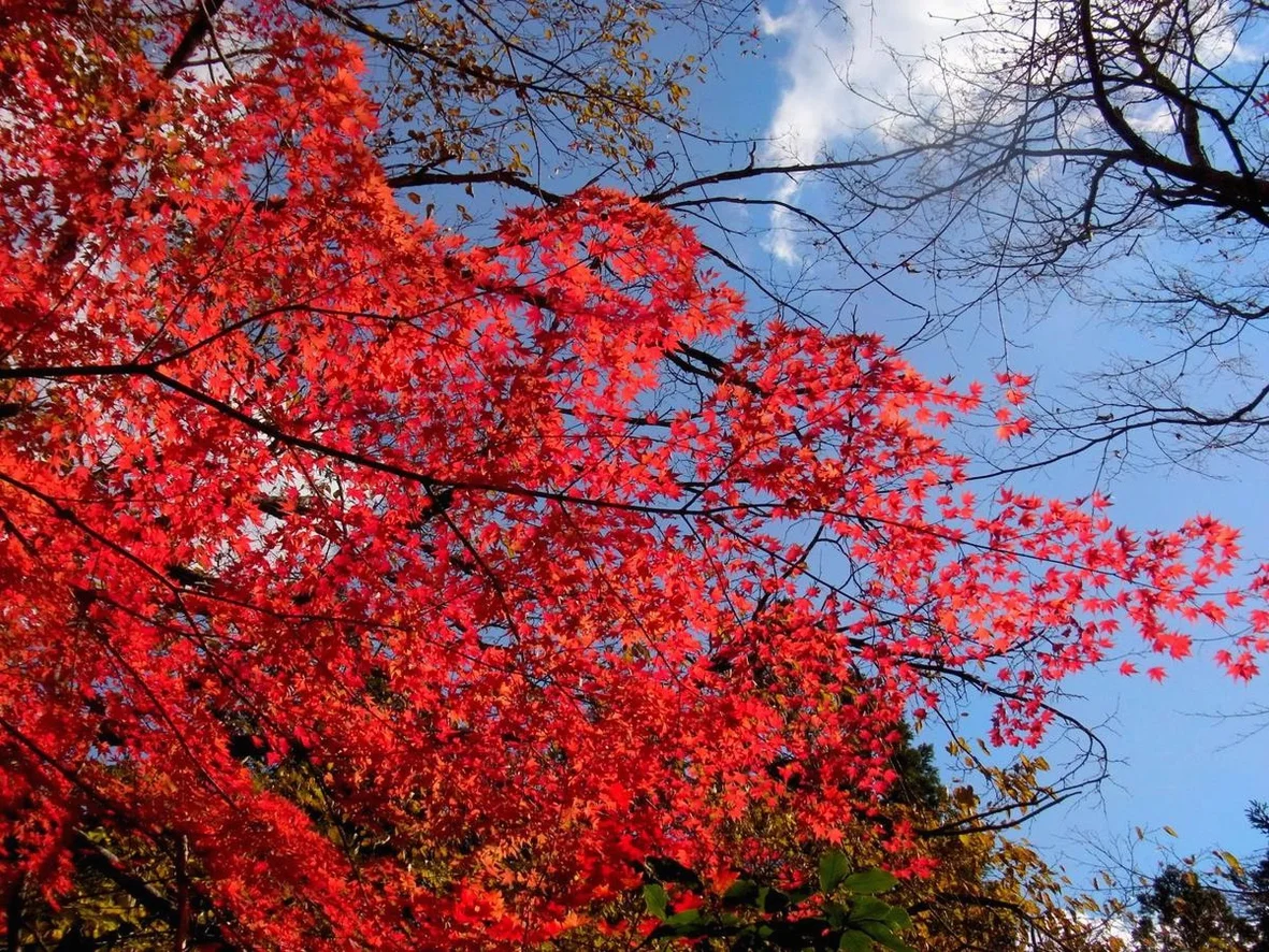 대마도2일/부산출발/4인출확 연합/노바호/부산에서 가장가까운 일본 대마도 1박2일/이즈하라 숙박/히타카츠 왕복 DAY 2 여행 사진