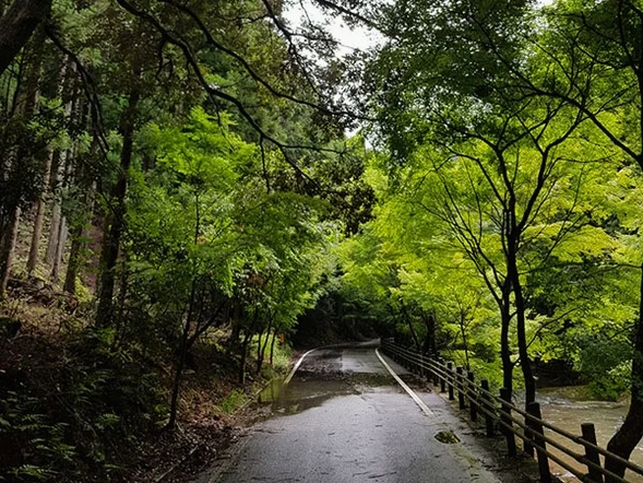 대마도2일/부산출발/4인출확 연합/노바호/부산에서 가장가까운 일본 대마도 1박2일/이즈하라 숙박/히타카츠 왕복 DAY 2 여행 사진