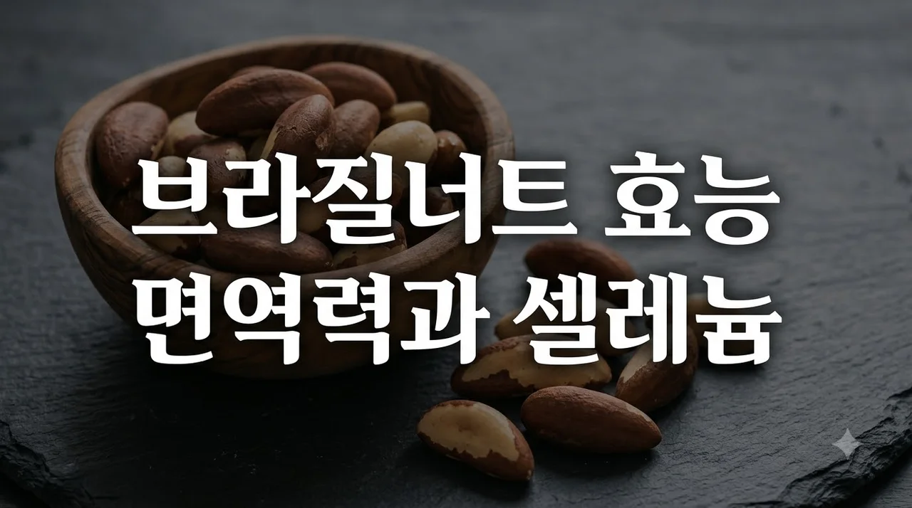 브라질너트와 면역력 강화, 셀레늄의 핵심 역할과 하루 섭취량 Guide