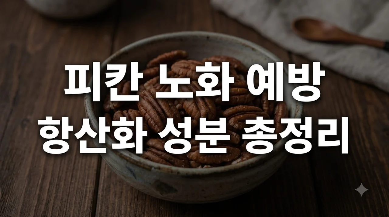 피칸과 노화 예방 핵심! 항산화 성분 총정리 및 하루 섭취량